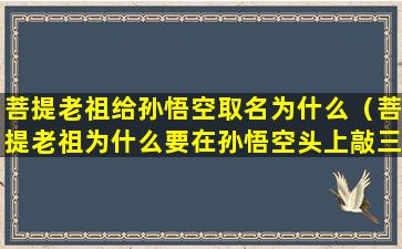 菩提老祖给孙悟空取名为什么（菩提老祖为什么要在孙悟空头上敲三下）