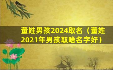 董姓男孩2024取名（董姓2021年男孩取啥名字好）