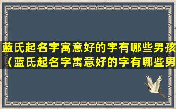 蓝氏起名字寓意好的字有哪些男孩（蓝氏起名字寓意好的字有哪些男孩女孩）