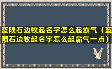 蓝陨石边牧起名字怎么起霸气（蓝陨石边牧起名字怎么起霸气一点）