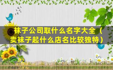 袜子公司取什么名字大全（卖袜子起什么店名比较独特）