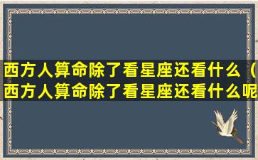 西方人算命除了看星座还看什么（西方人算命除了看星座还看什么呢）