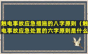 触电事故应急措施的八字原则（触电事故应急处置的六字原则是什么）