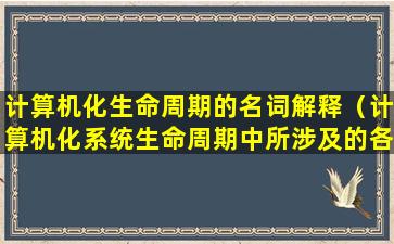 计算机化生命周期的名词解释（计算机化系统生命周期中所涉及的各种活动）