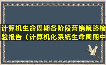 计算机生命周期各阶段营销策略检验报告（计算机化系统生命周期中所涉及的各种活动）