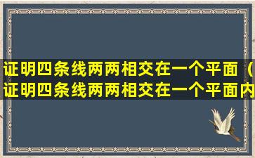 证明四条线两两相交在一个平面（证明四条线两两相交在一个平面内的方法）