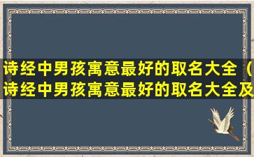 诗经中男孩寓意最好的取名大全（诗经中男孩寓意最好的取名大全及寓意）