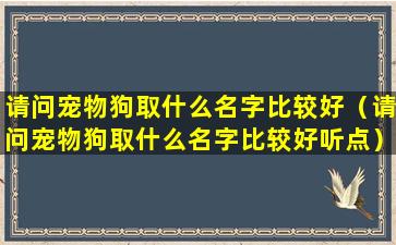 请问宠物狗取什么名字比较好（请问宠物狗取什么名字比较好听点）