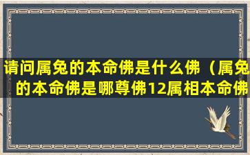 请问属兔的本命佛是什么佛（属兔的本命佛是哪尊佛12属相本命佛）