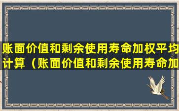 账面价值和剩余使用寿命加权平均计算（账面价值和剩余使用寿命加权平均计算的账面价值）