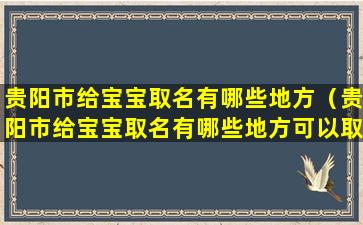 贵阳市给宝宝取名有哪些地方（贵阳市给宝宝取名有哪些地方可以取）