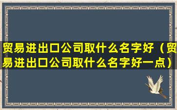 贸易进出口公司取什么名字好（贸易进出口公司取什么名字好一点）