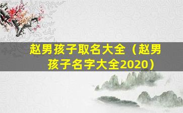 赵男孩子取名大全（赵男孩子名字大全2020）