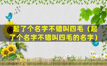 起了个名字不错叫四毛（起了个名字不错叫四毛的名字）