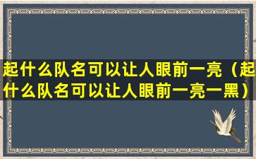 起什么队名可以让人眼前一亮（起什么队名可以让人眼前一亮一黑）