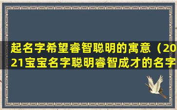 起名字希望睿智聪明的寓意（2021宝宝名字聪明睿智成才的名字）