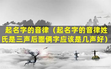 起名字的音律（起名字的音律姓氏是三声后面俩字应该是几声好）