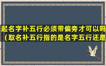 起名字补五行必须带偏旁才可以吗（取名补五行指的是名字五行还是五格五行五）