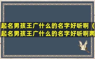 起名男孩王广什么的名字好听啊（起名男孩王广什么的名字好听啊两个字）