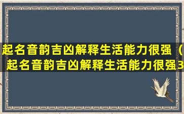 起名音韵吉凶解释生活能力很强（起名音韵吉凶解释生活能力很强360图书馆）