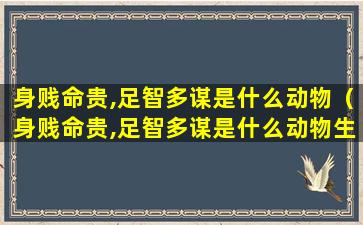 身贱命贵,足智多谋是什么动物（身贱命贵,足智多谋是什么动物生肖）