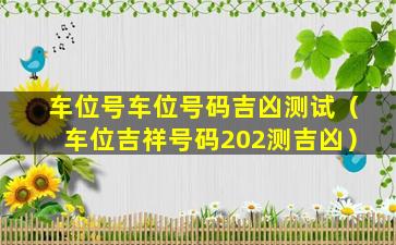 车位号车位号码吉凶测试（车位吉祥号码202测吉凶）