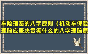 车险理赔的八字原则（机动车保险理赔应坚决贯彻什么的八字理赔原则）