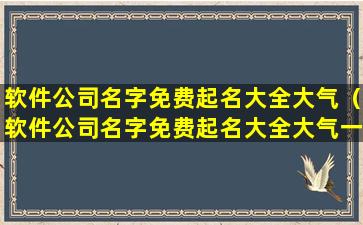 软件公司名字免费起名大全大气（软件公司名字免费起名大全大气一点）