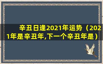 辛丑日逢2021年运势（2021年是辛丑年,下一个辛丑年是）