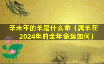 辛未年的羊是什么命（属羊在2024年的全年命运如何）