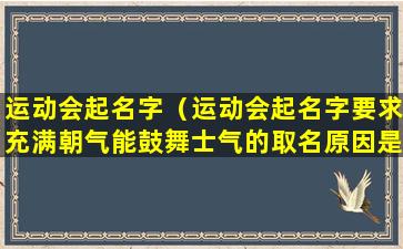 运动会起名字（运动会起名字要求充满朝气能鼓舞士气的取名原因是什么）