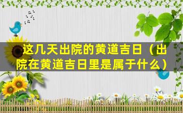 这几天出院的黄道吉日（出院在黄道吉日里是属于什么）