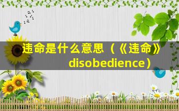 违命是什么意思（《违命》disobedience）