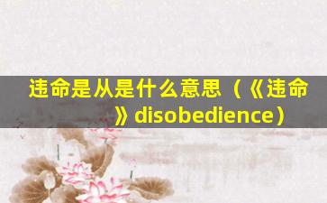 违命是从是什么意思（《违命》disobedience）