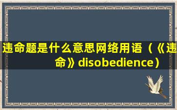 违命题是什么意思网络用语（《违命》disobedience）