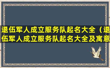 退伍军人成立服务队起名大全（退伍军人成立服务队起名大全及寓意）