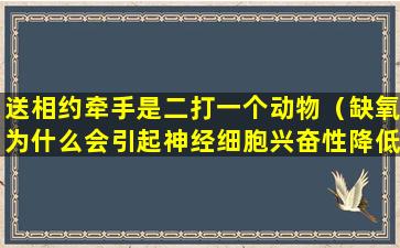 送相约牵手是二打一个动物（缺氧为什么会引起神经细胞兴奋性降低）