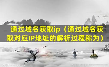 通过域名获取ip（通过域名获取对应IP地址的解析过程称为）