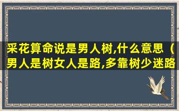 采花算命说是男人树,什么意思（男人是树女人是路,多靠树少迷路什么意思）