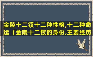 金陵十二钗十二种性格,十二种命运（金陵十二钗的身份,主要经历及性格特点）