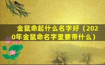 金鼠命起什么名字好（2020年金鼠命名字里要带什么）