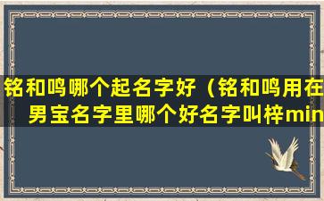 铭和鸣哪个起名字好（铭和鸣用在男宝名字里哪个好名字叫梓ming）