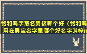 铭和鸣字取名男孩哪个好（铭和鸣用在男宝名字里哪个好名字叫梓ming）