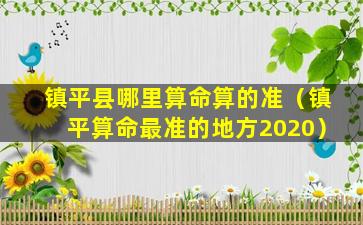 镇平县哪里算命算的准（镇平算命最准的地方2020）