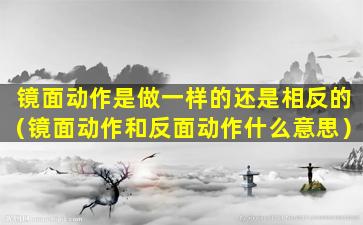 镜面动作是做一样的还是相反的（镜面动作和反面动作什么意思）