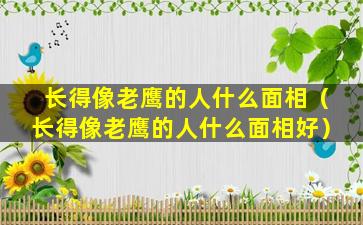 长得像老鹰的人什么面相（长得像老鹰的人什么面相好）