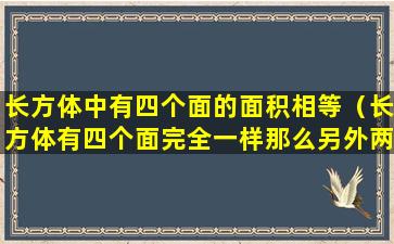 长方体中有四个面的面积相等（长方体有四个面完全一样那么另外两个面一定是正方形）