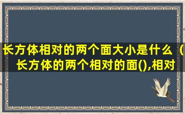 长方体相对的两个面大小是什么（长方体的两个相对的面(),相对的棱长()）