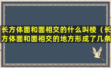 长方体面和面相交的什么叫棱（长方体面和面相交的地方形成了几条棱）