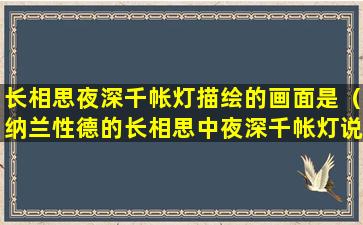 长相思夜深千帐灯描绘的画面是（纳兰性德的长相思中夜深千帐灯说明了什么）